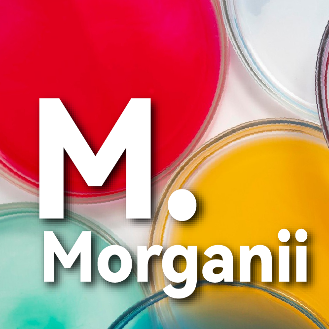 applicion icon image