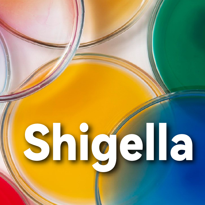 applicion icon image